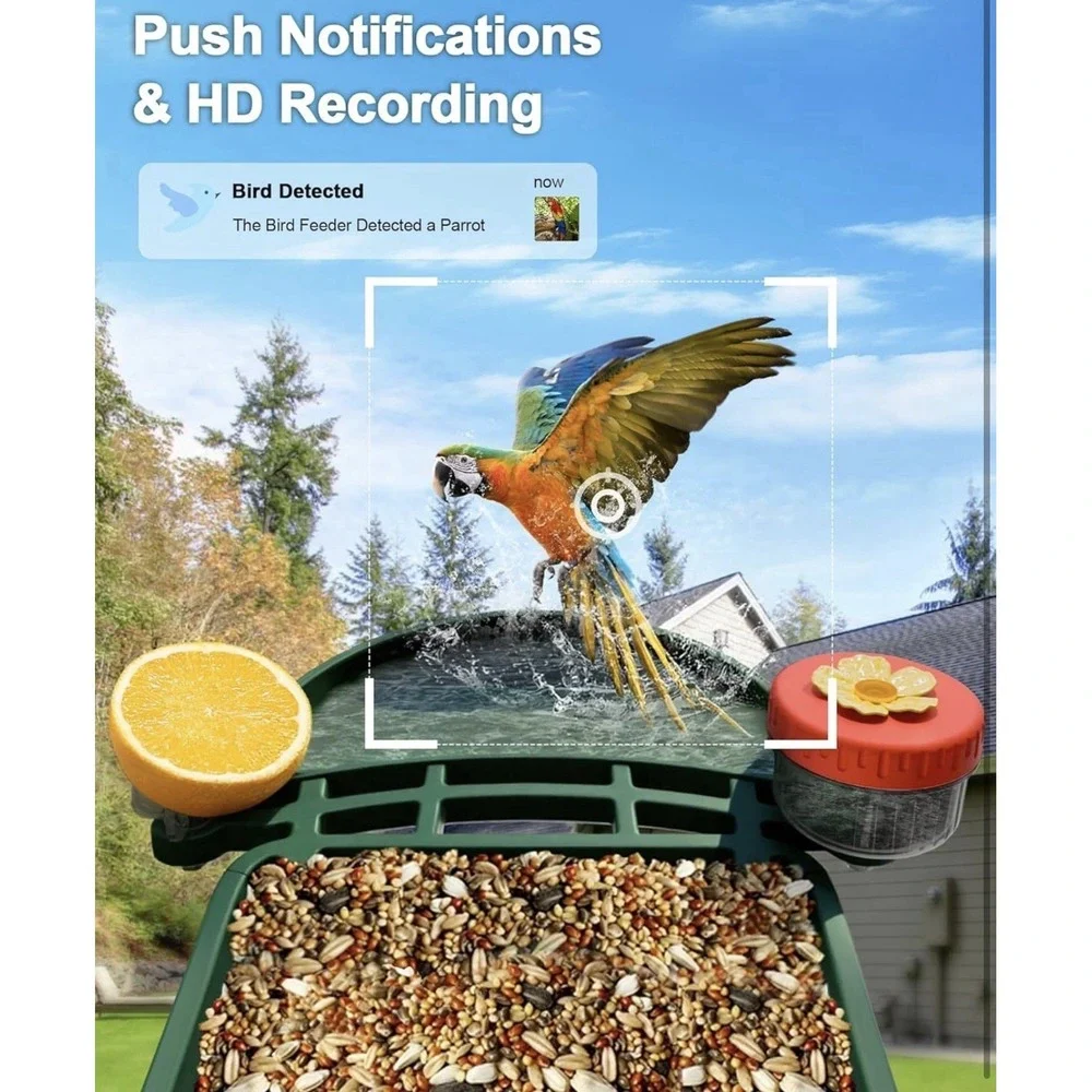 Smart Bird Feeder & Bath 2-in-1 4K Camera Solar AI Identify Outdoor Birdwatching